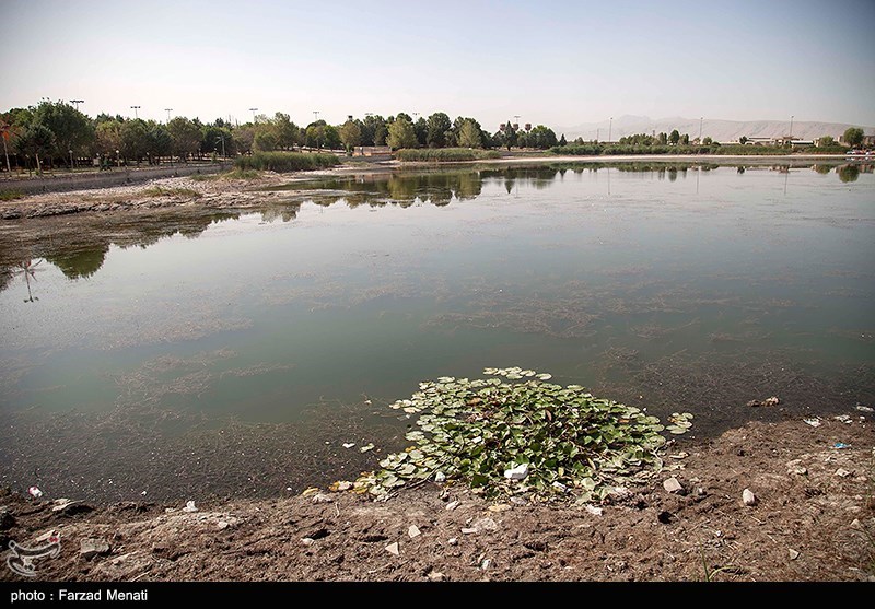 مرگ تدریجی سراب نیلوفر کرمانشاه/ گزارش تصویری