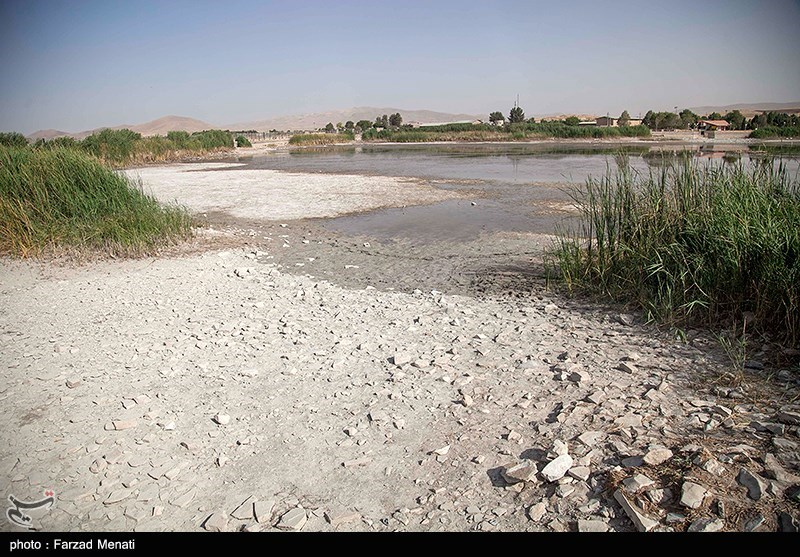 مرگ تدریجی سراب نیلوفر کرمانشاه/ گزارش تصویری