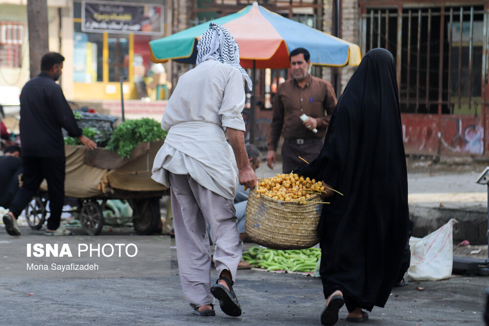 برداشت خارک و رطب در شادگان/ گزارش تصویری