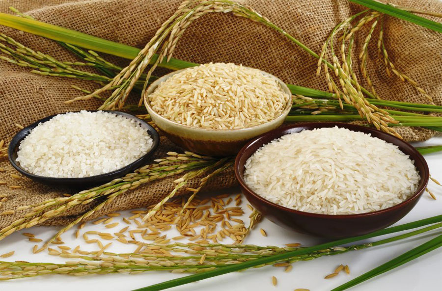 قیمت برنج کاهش پیدا می‌کند؟