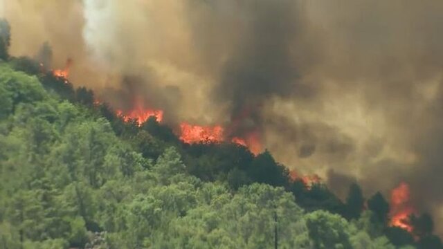 آتش سوزی در جنگل‌های کلاردشت؛ خسارت به