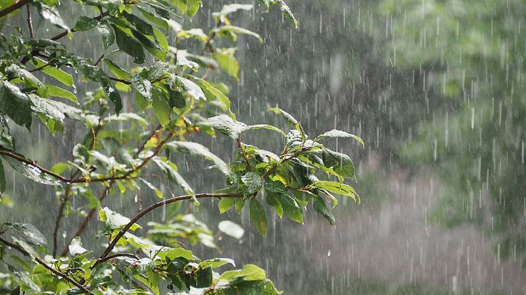 هواشناسی ایران؛ از رگبار باران تا خیزش گردوخاک