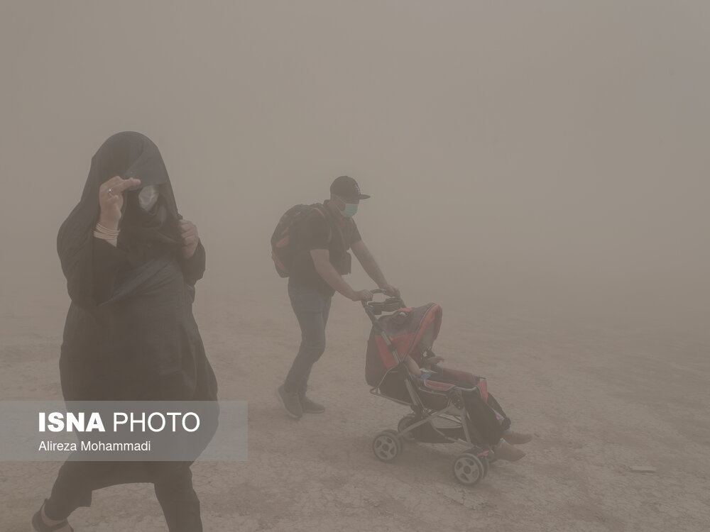 پیاده در غبار/ گزارش تصویری