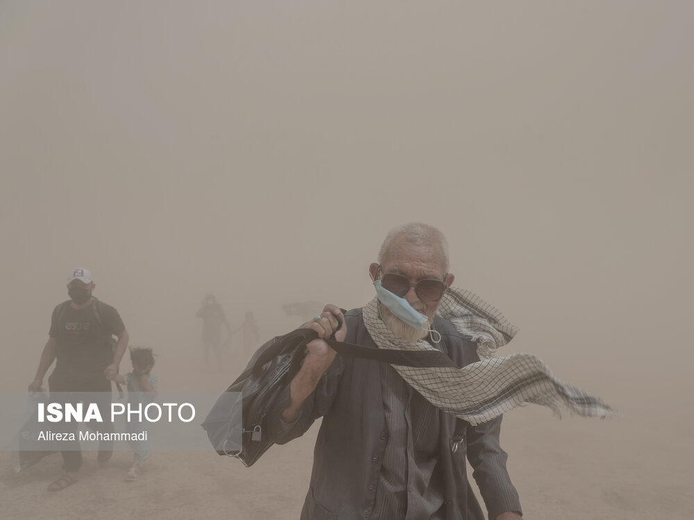 پیاده در غبار/ گزارش تصویری