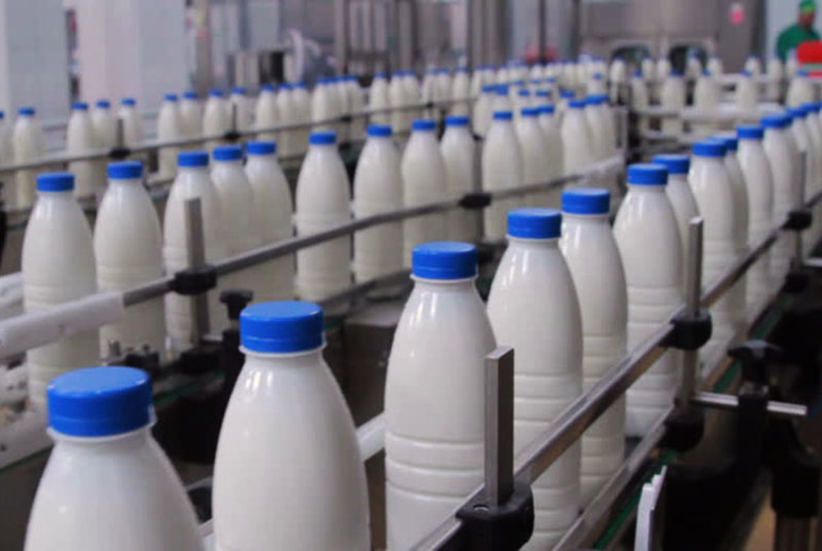 رشد ۱۰ برابری قیمت شیر در دولت سیزدهم