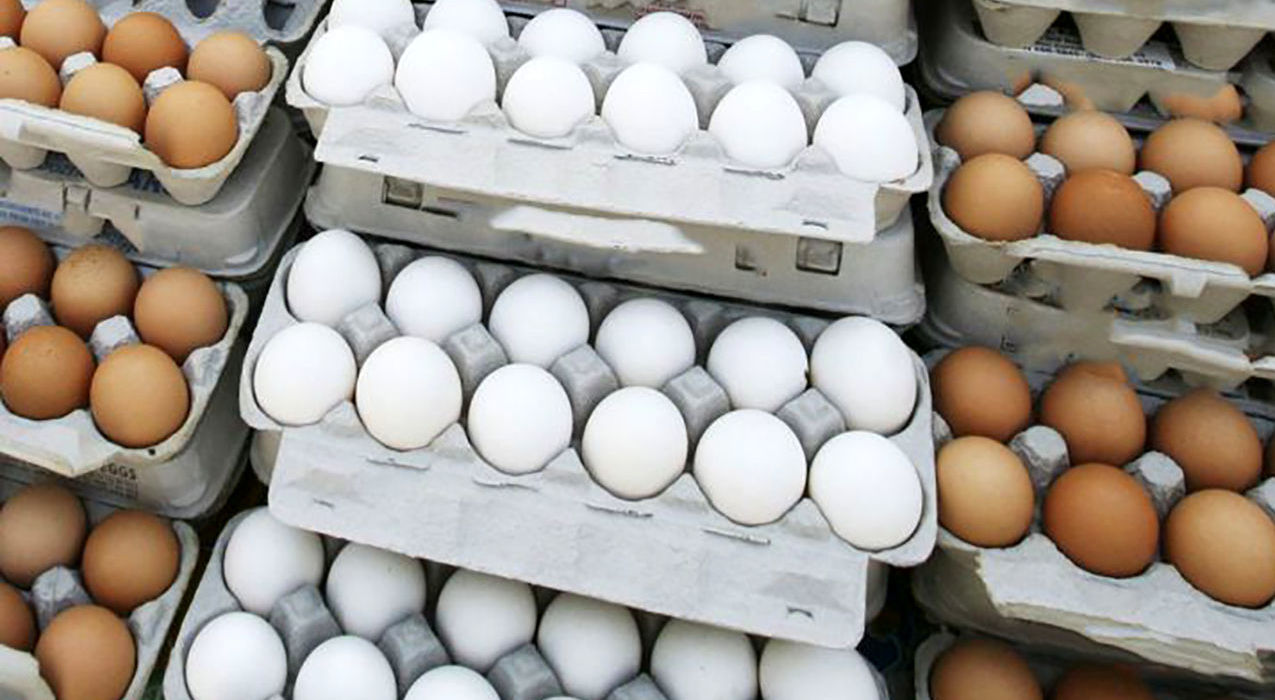 تخم مرغ بالای «۹۰ هزار تومان» تخلف است
