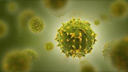 ویروس شناس: «ایمنی‌گریزی و سرعت بالای انتشار» ویژگی واریانت جدید اومیکرون