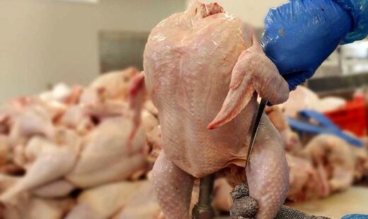 گوشت مرغ بالاتر از ۵۹۸۰۰ تومان گران‌فروشی است