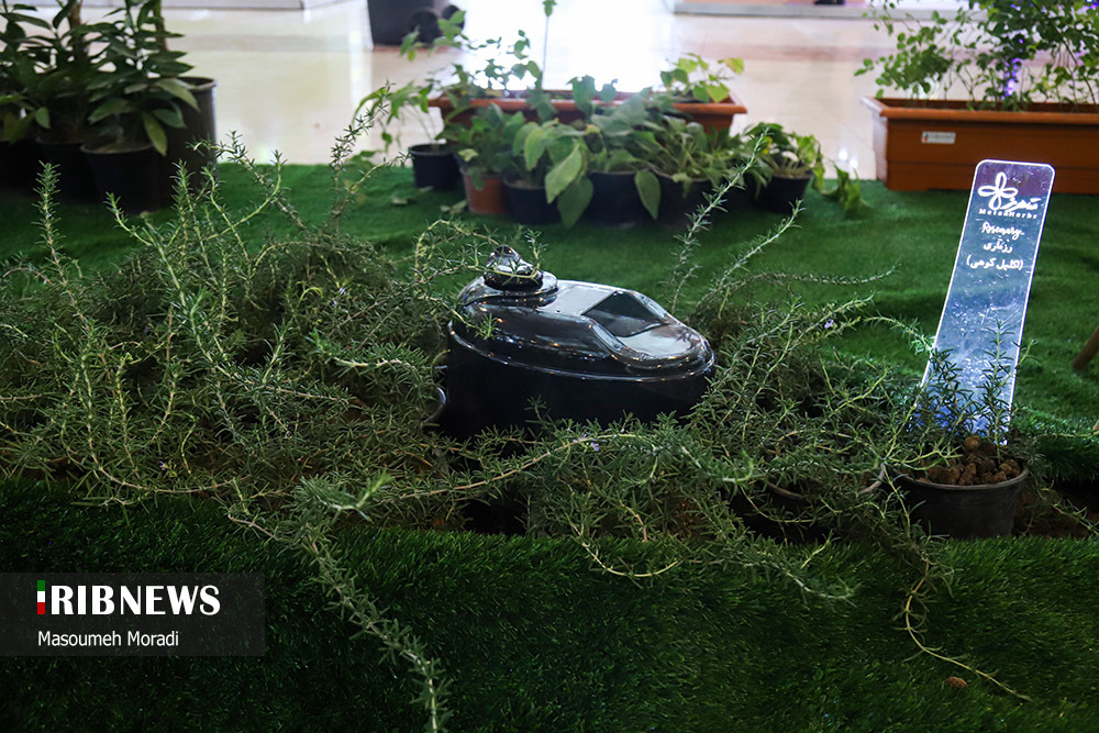 نمایشگاه گیاهان دارویی در تهران/ گزارش تصویری