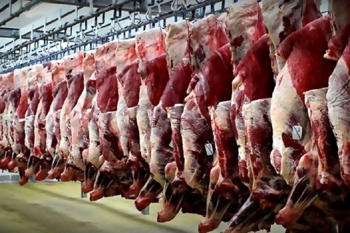 دلیل افزایش قیمت گوشت قرمز در اهواز چیست؟