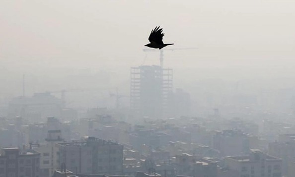 تاکید کمیته اضطرار آلودگی هوای تهران بر ممنوعیت فعالیت‌های ورزشی در فضای‌باز