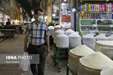 بوی افزایش قیمت برنج در قزوین!
