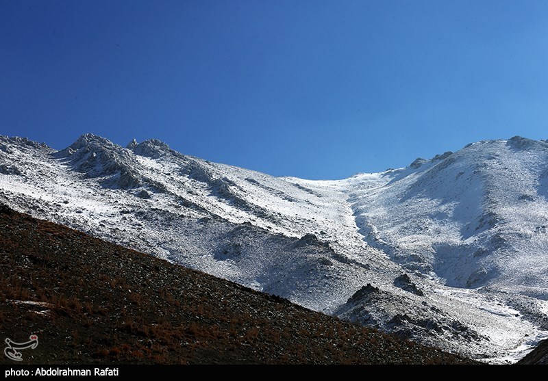 بارش برف در ارتفاعات تاریکدره همدان/ گزارش تصویری