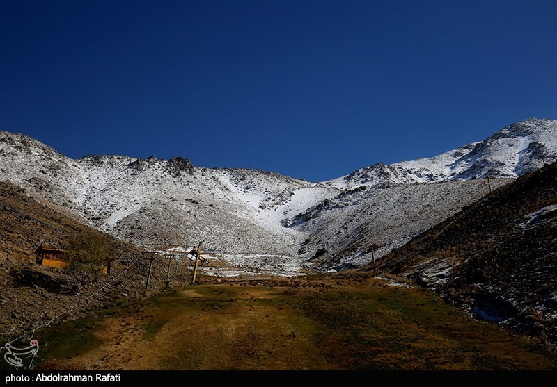 بارش برف در ارتفاعات تاریکدره همدان/ گزارش تصویری