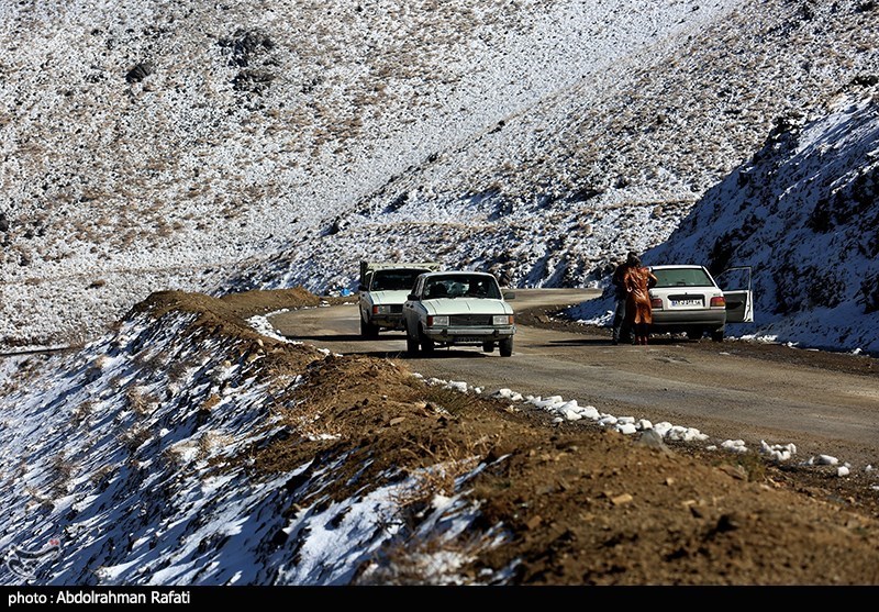 بارش برف در ارتفاعات تاریکدره همدان/ گزارش تصویری