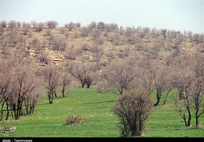 حال ناخوش منابع طبیعی کهگیلویه و بویراحمد