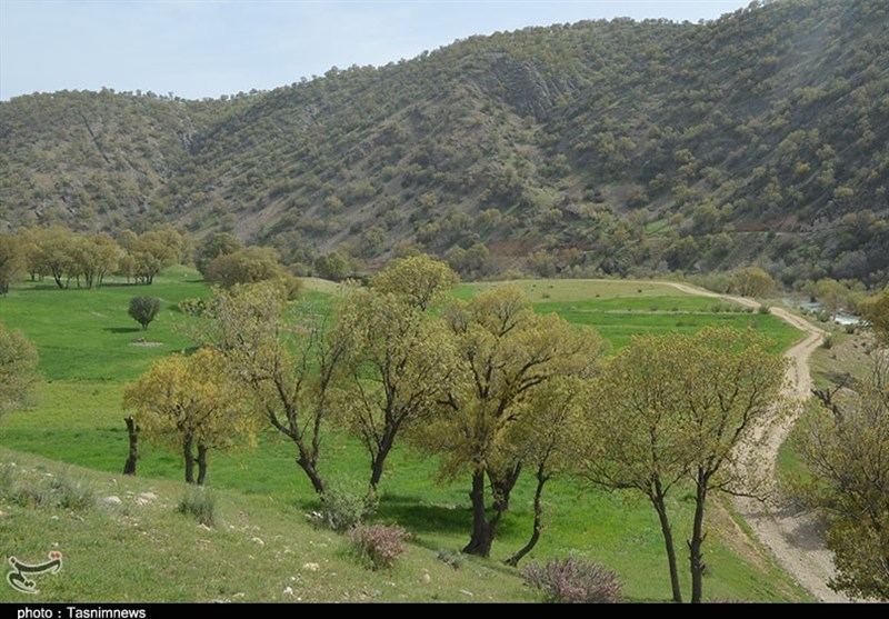 حال ناخوش منابع طبیعی کهگیلویه و بویراحمد