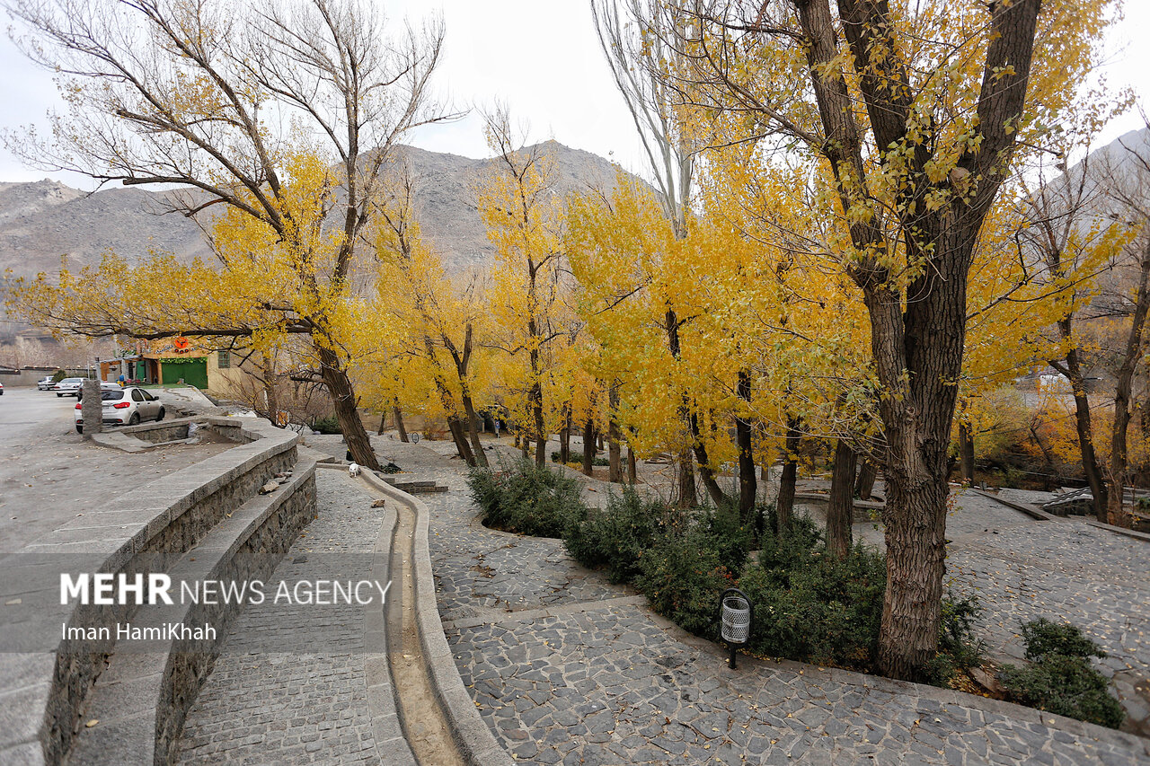 طبیعت پاییزی گنج‌نامه همدان/ گزارش تصویری