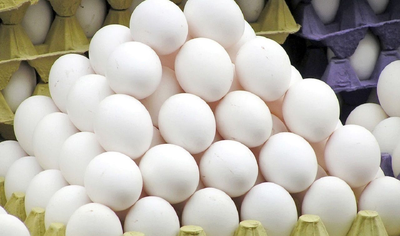 چرا دولت قیمت «تخم‌مرغ» را تغییر نمی‌دهد؟