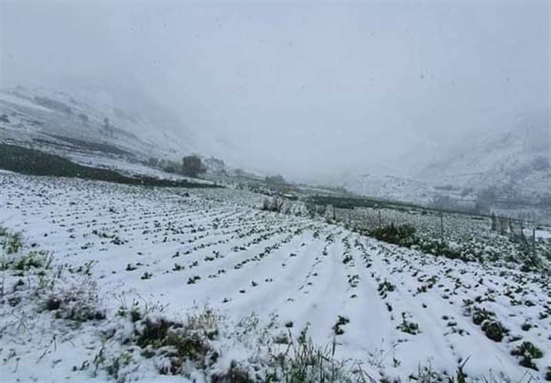 هشدار هواشناسی فارس در خصوص بارش برف در ارتفاعات