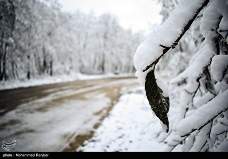 بارش برف در ارتفاعات گیلان/ گزارش تصویری