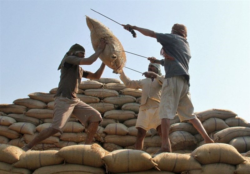 توقف واردات برنج و چای از هند