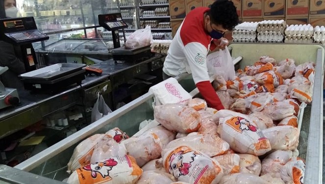 صادرات «مرغ» با عوارض صفر آزاد شد