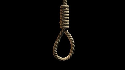 محسن شکاری به عنوان اولین اعدامی حوادث اخیر، به دار آویخته شد