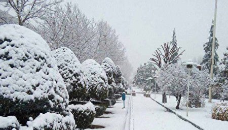 هواشناسی ایران؛ هشدار زرد و بارش برف و باران در ۱۱ استان
