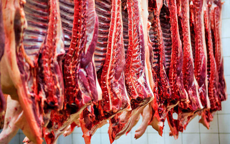 افزایش قیمت گوشت قرمز در قزوین