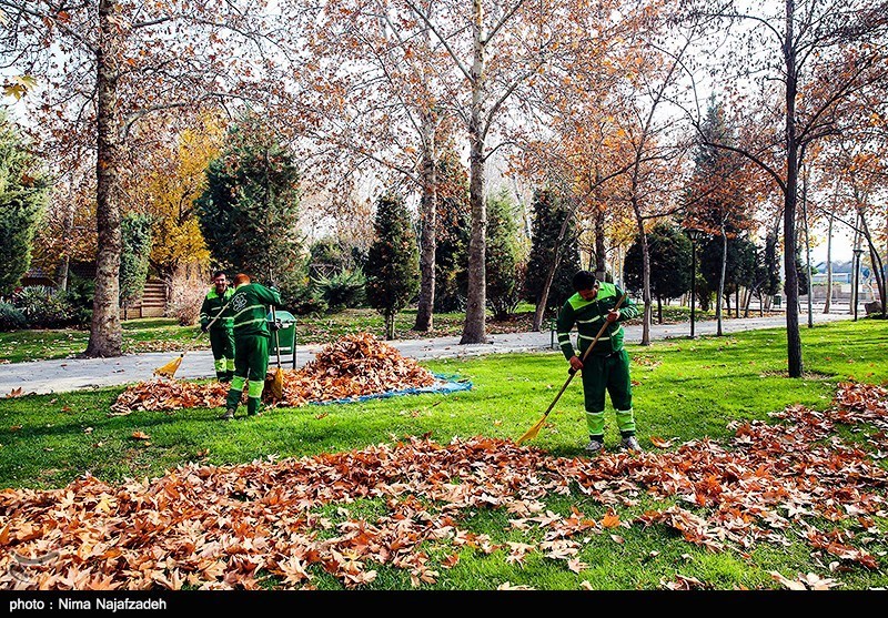 روزهای پاییزی مشهد/ گزارش تصویری