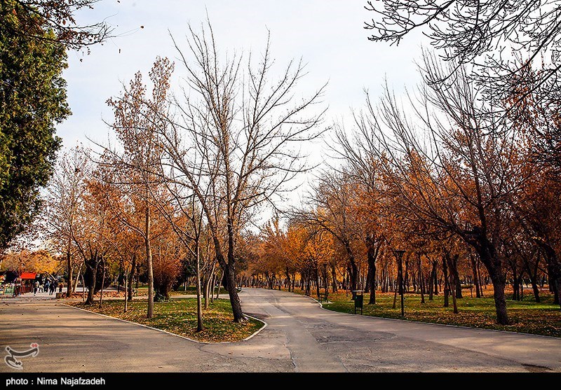 روزهای پاییزی مشهد/ گزارش تصویری