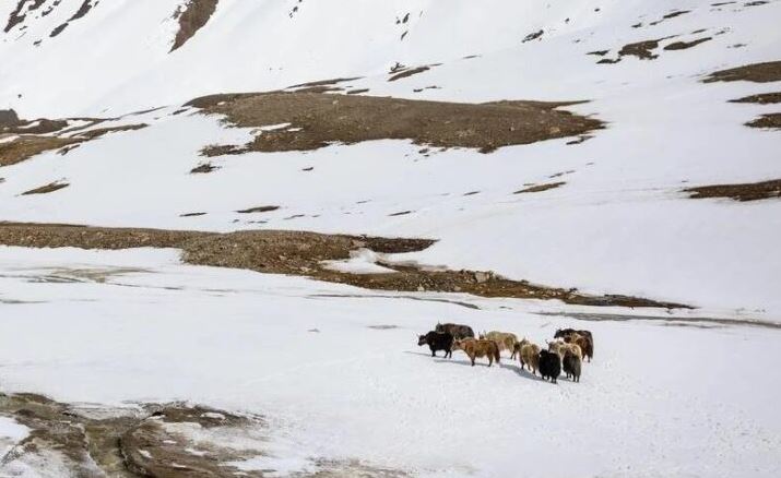 عصر یخبندان؛ راز بقای انسان کشف شد