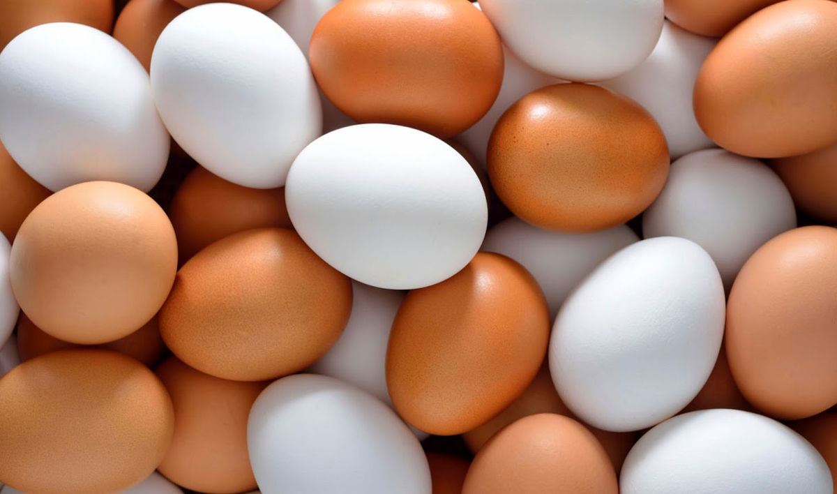 بعد از گوشت قرمز و مرغ؛ تخم‌مرغ هم گران می‌شود؟