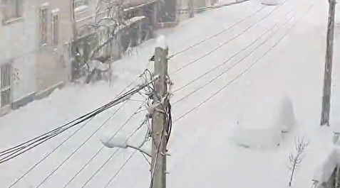 نیم متر برف در اردبیل؛ دمای هوا منفی ۱۱ درجه! +ویدیو
