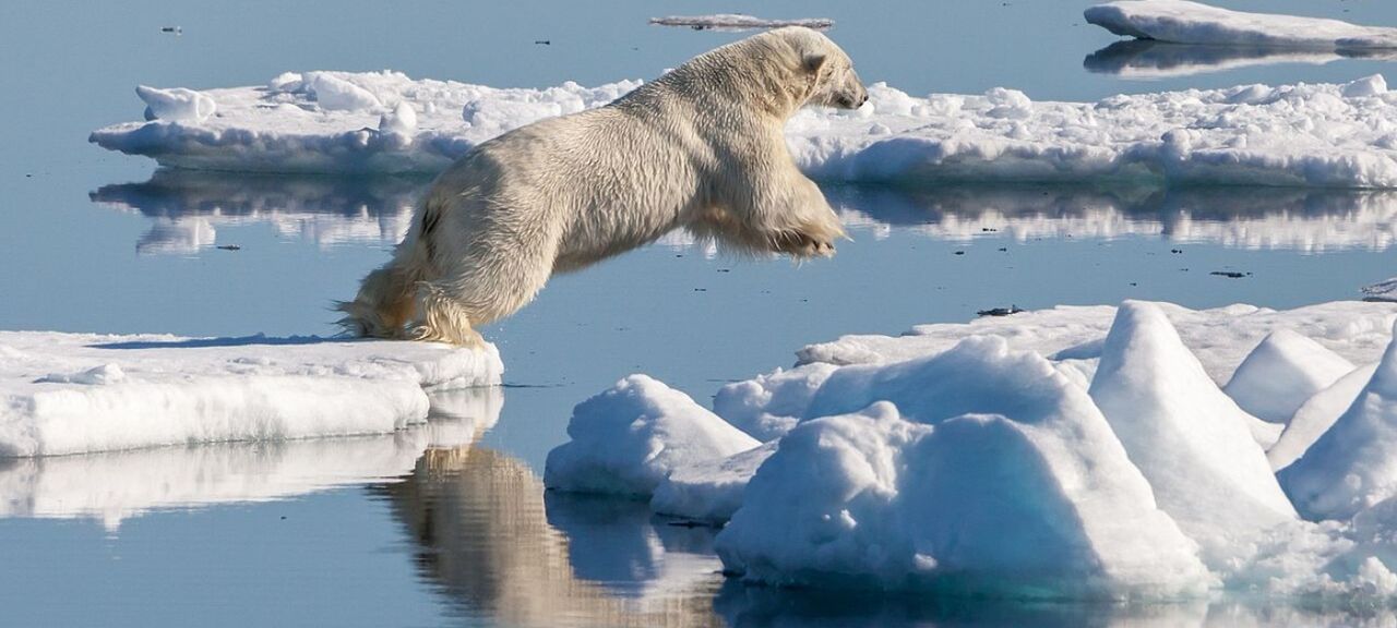 هشدار دانشمندان درباره تابستان قطبی «بدون یخ»