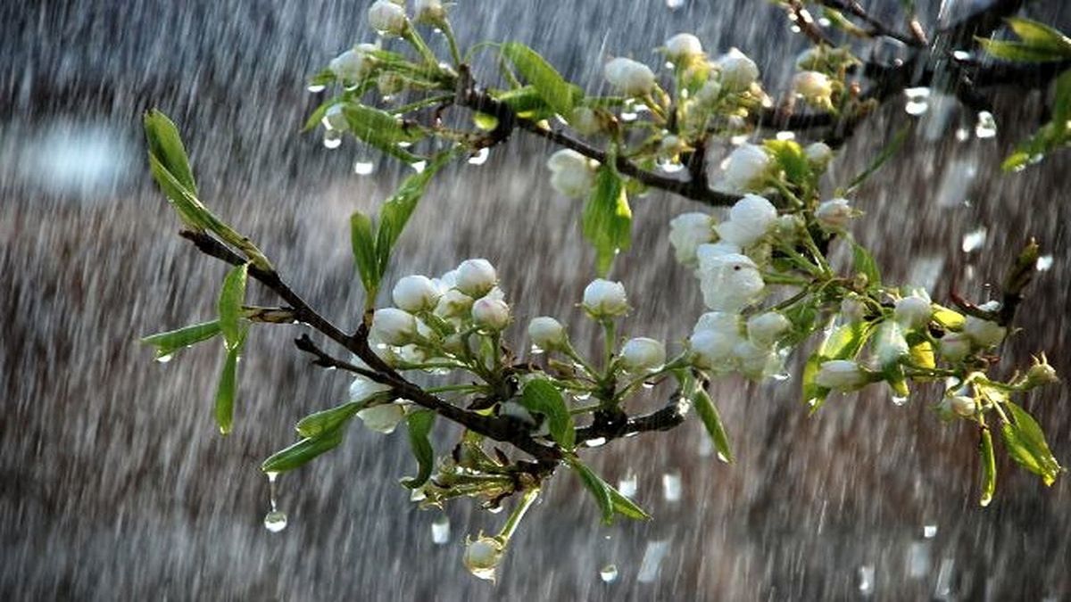 هواشناسی ایران؛ هشدار برای کشاورزان ۲۸ استان