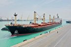 یک کشتی حامل ۲۷ هزار تن گندم در بندر بوشهر پهلو گرفت