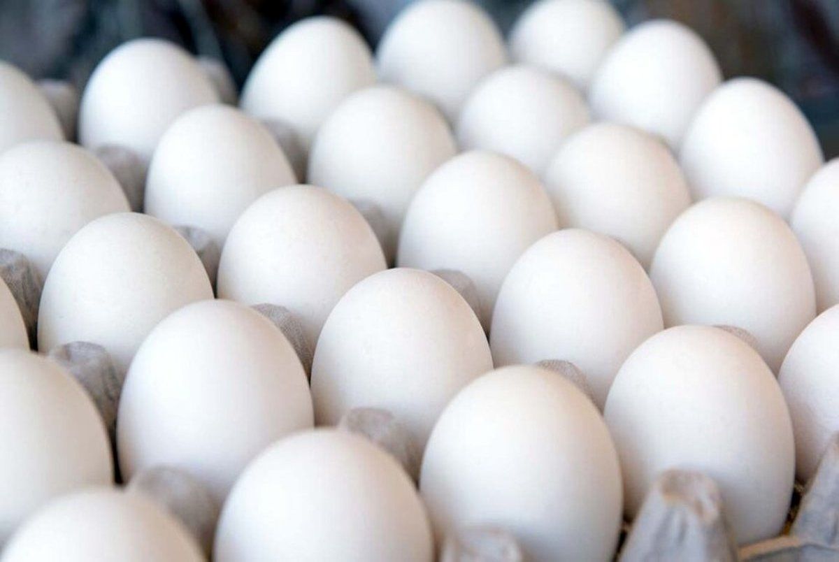 بحران اقتصادی؛ مصرف بیشتر تخم‌مرغ، به جای مرغ و گوشت!