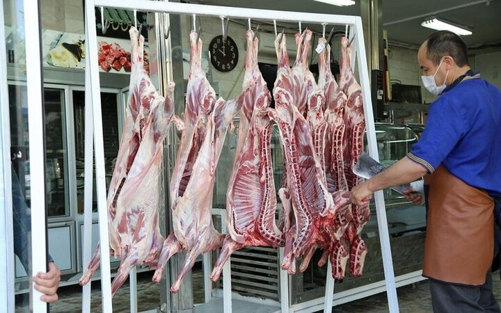 سرمایه‌گذاری فراسرزمینی، راه‌حل کاهش قیمت گوشت