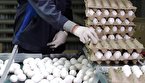 قیمت تخم‌مرغ در ایران؛ ۲۰ عدد، ۹۹.۵۰۰/ ۳۰ عدد، ۱۴۹۰۰۰ تومان!