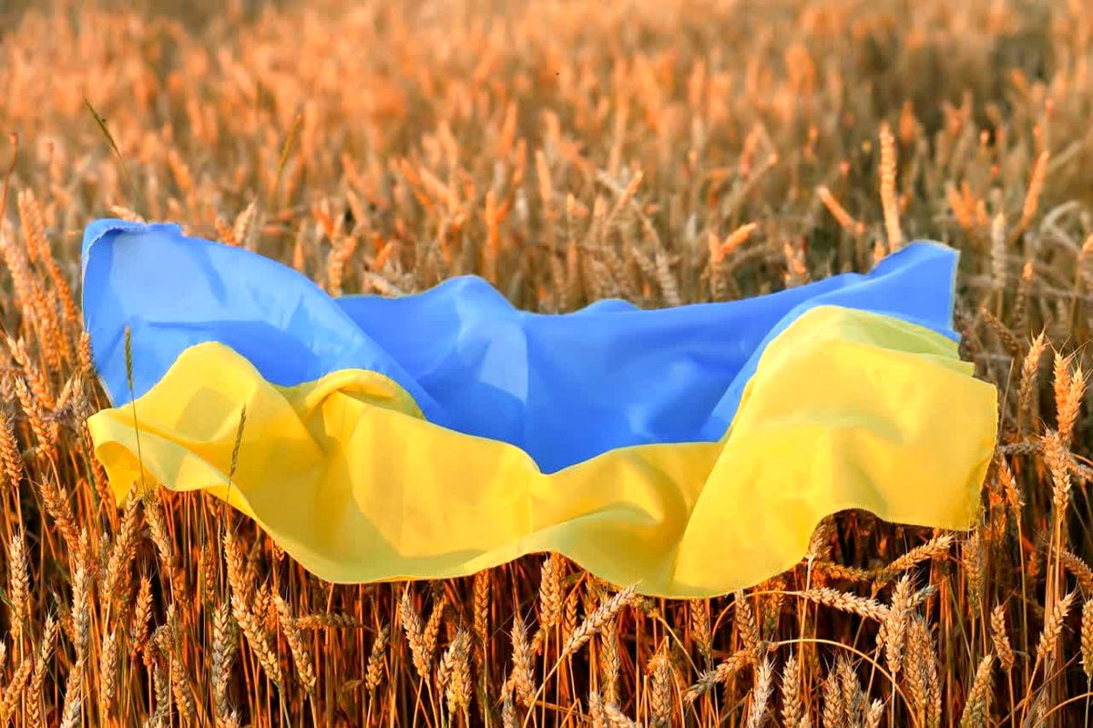 تحریم ۵۰ ساله اوکراین چه تاثیری بر امنیت غذایی ایران دارد؟