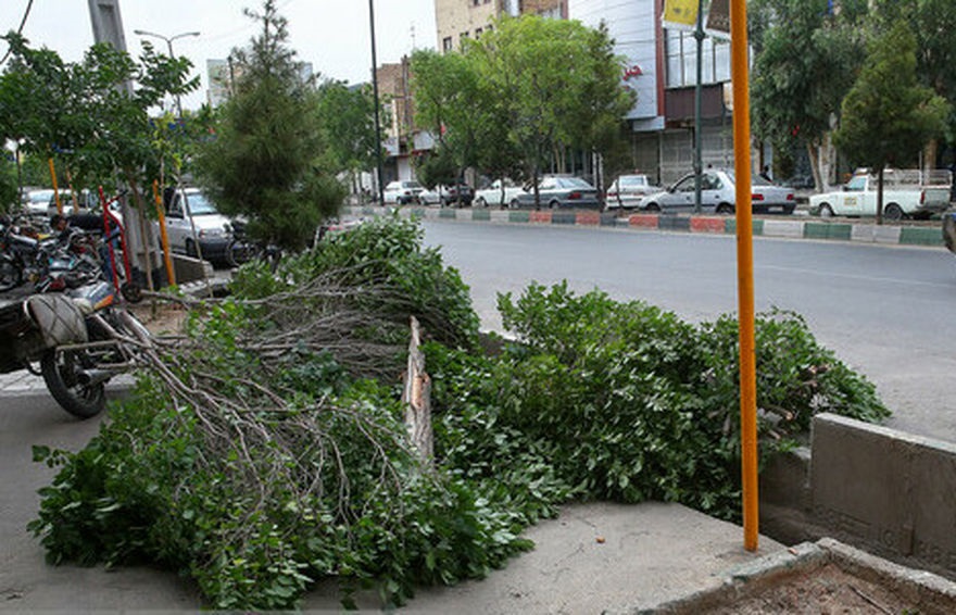 وزش باد شدید و کاهش دما در انتظار پایتخت