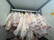 سرمایه‌گذاری فراسرزمینی، راه‌حل کاهش قیمت گوشت