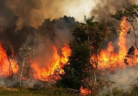 آتش‌سوزی در جنگل‌های گلستان