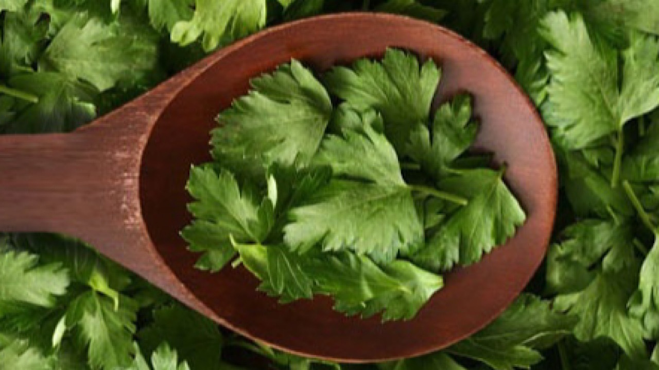 کاهش قند خون با یک سبزی معطر