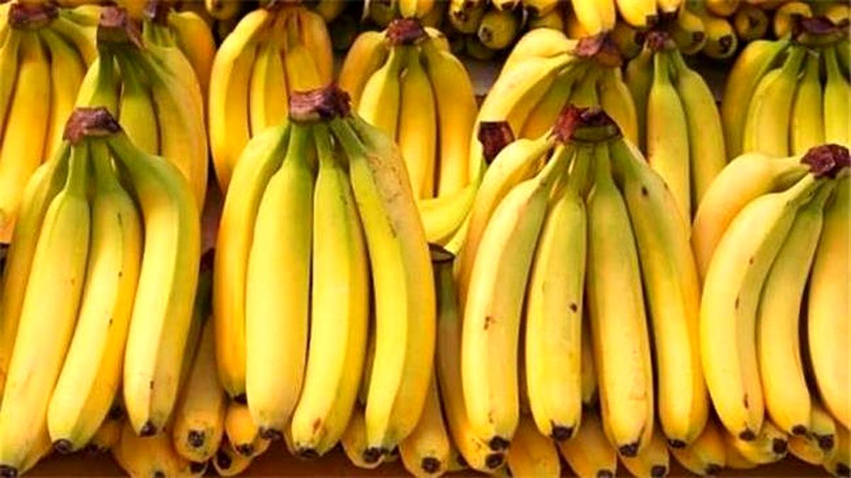 بازار میوه و ترهبار؛ موز چند؟ +قیمتها بازار میوه و ترهبار؛ موز چند؟ +قیمتها