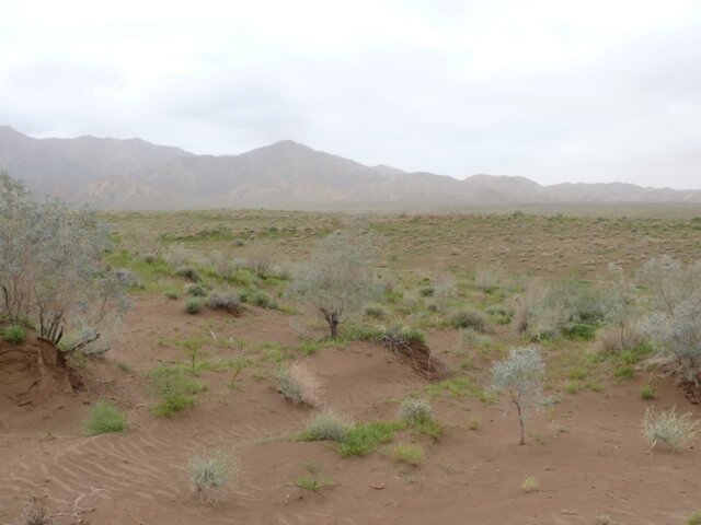 ثبت دو اثر طبیعی خراسان جنوبی در فهرست میراث ملی