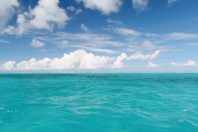 نگرانی از ثبت رکورد گرما در اقیانوس‌ها