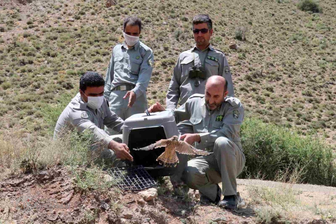محیط بان می‌میرد، از بس که جان ندارد